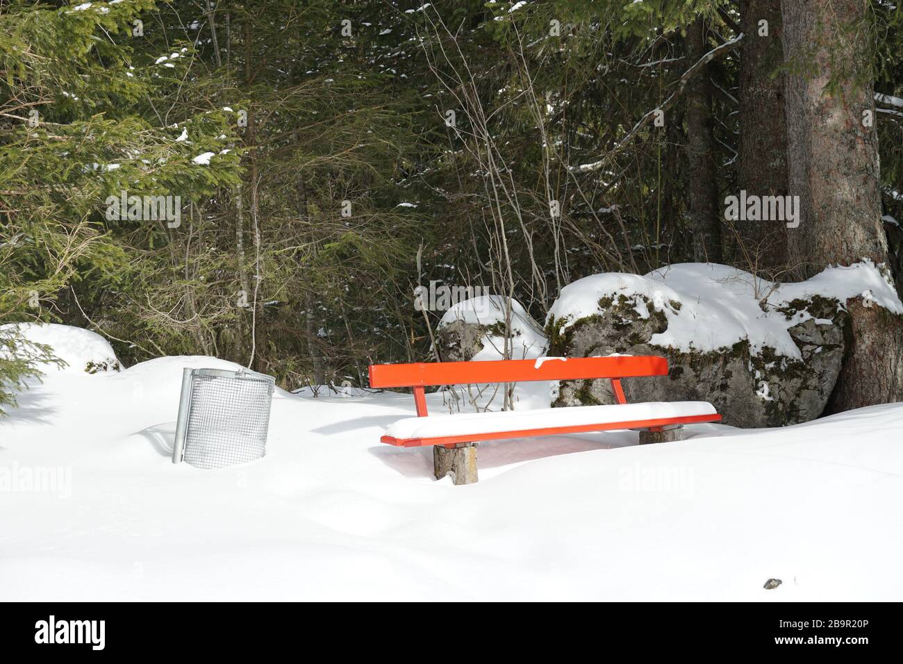 Une banque rouge et un bac à poussière vide sur un sentier de randonnée dans la forêt couverte de neige avec des arbres sur le fond. Banque D'Images