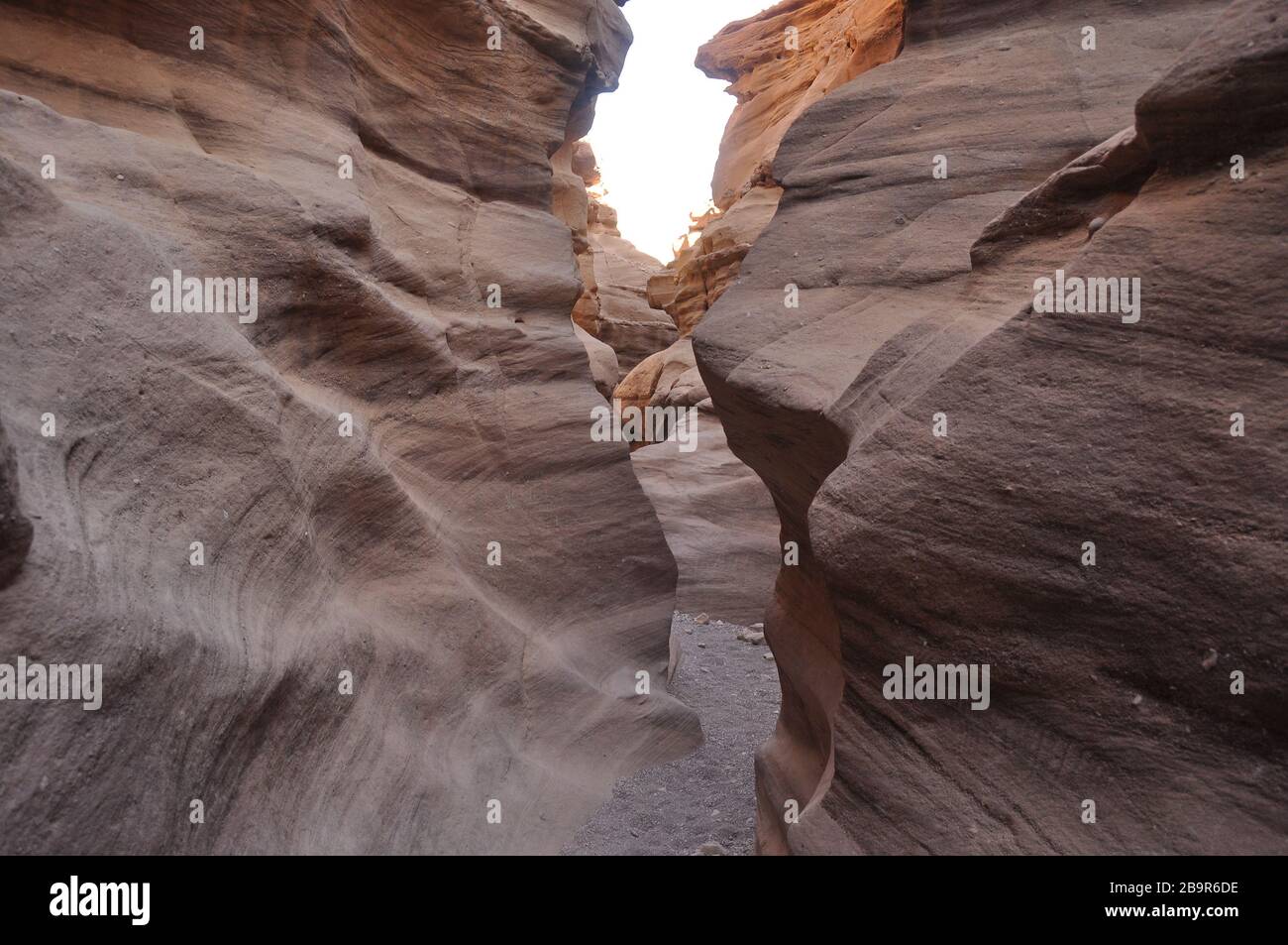 Canyon rouge en Israël près d'Eilat. Des rochers pittoresques et ondulés creusés par la pluie dans le grès dans le désert du Negev. Banque D'Images