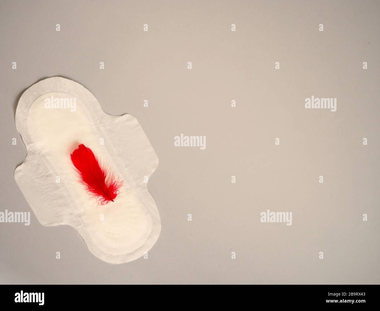 Tampon menstruel avec plume rouge sur fond gris. Concept minimaliste de photographie de la vie. Jours critiques pour les femmes, cycle menstruel gynécologique. Banque D'Images