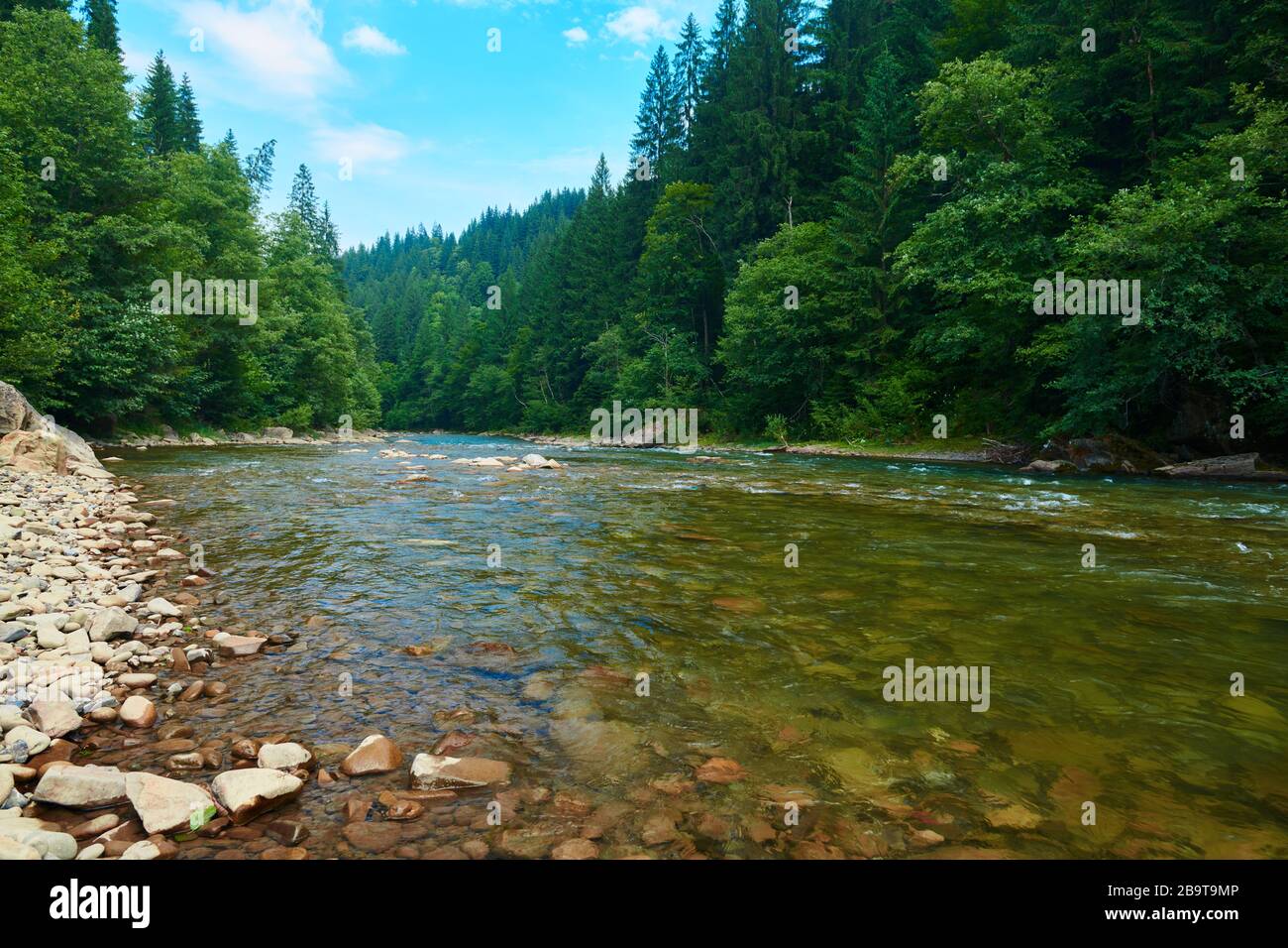 paysage, belle vue sur la rivière de montagne en été, eau et rochers à écoulement rapide, nature sauvage Banque D'Images