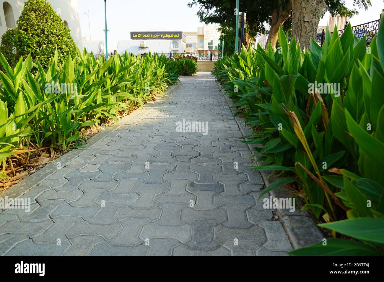 Dubaï Emirats Arabes Unis décembre 2019 vue panoramique sur le sentier paysager avec des plantes et des pierres dans la cour. Arrière-cour de la maison résidentielle. Trottoir piétonnier en pierre allant Banque D'Images