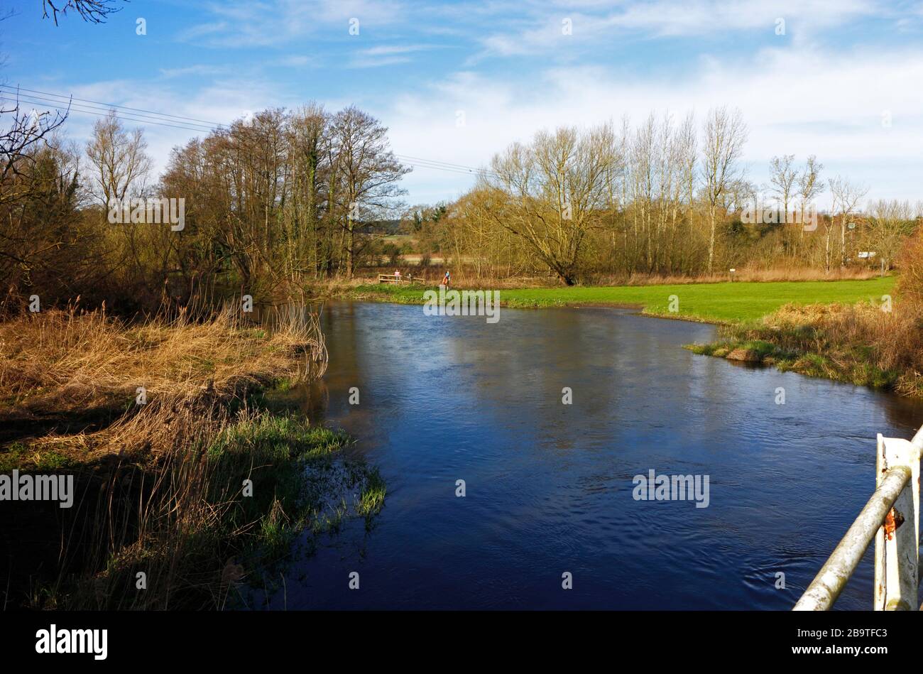 Vue sur la rivière Wensum en amont du petit pont routier dans le village de Ringland, Norfolk, Angleterre, Royaume-Uni, Europe. Banque D'Images