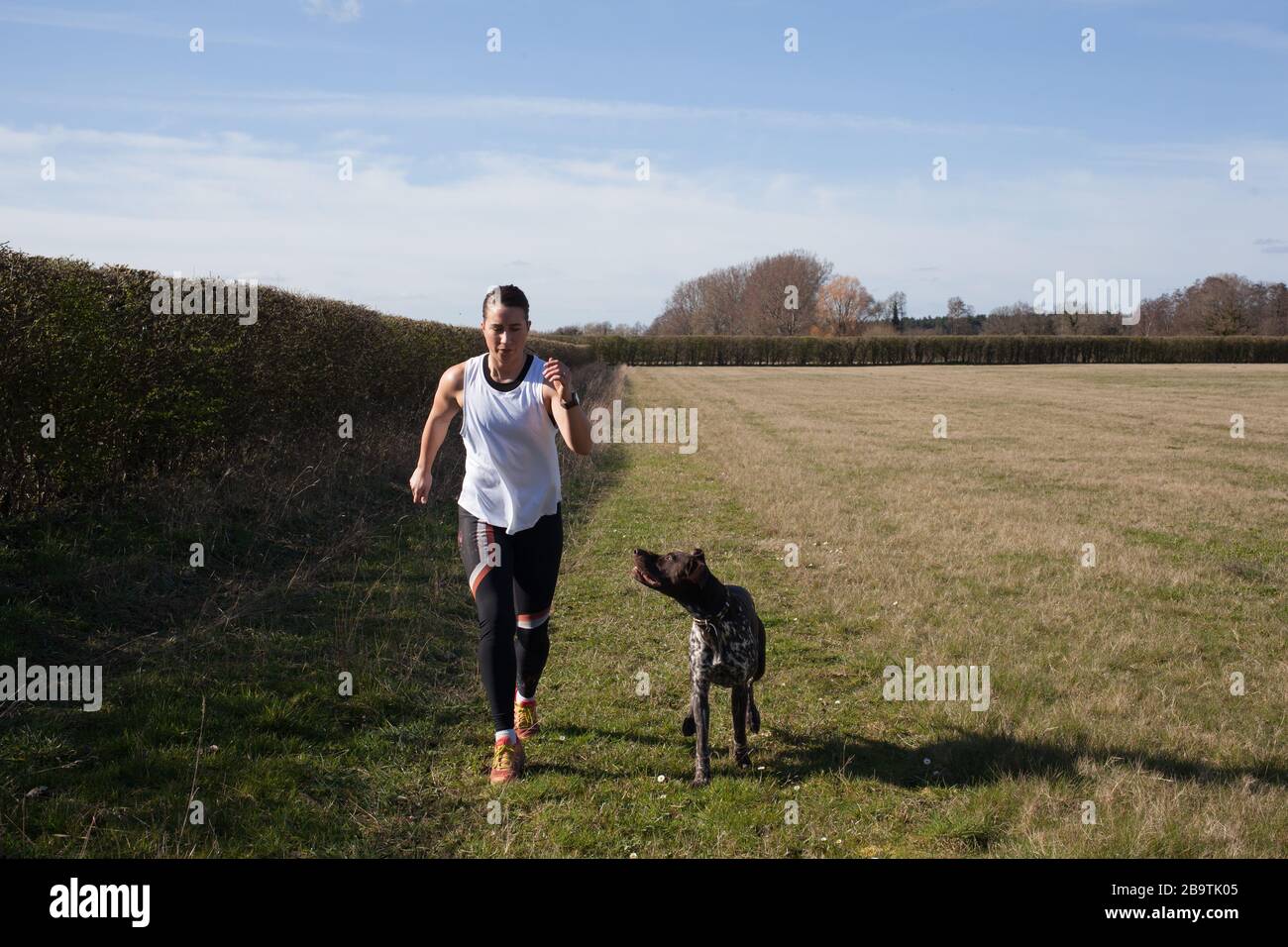 Une femme qui fait du jogging avec son chien animal de compagnie, un petit pointeur à poil court allemand Banque D'Images