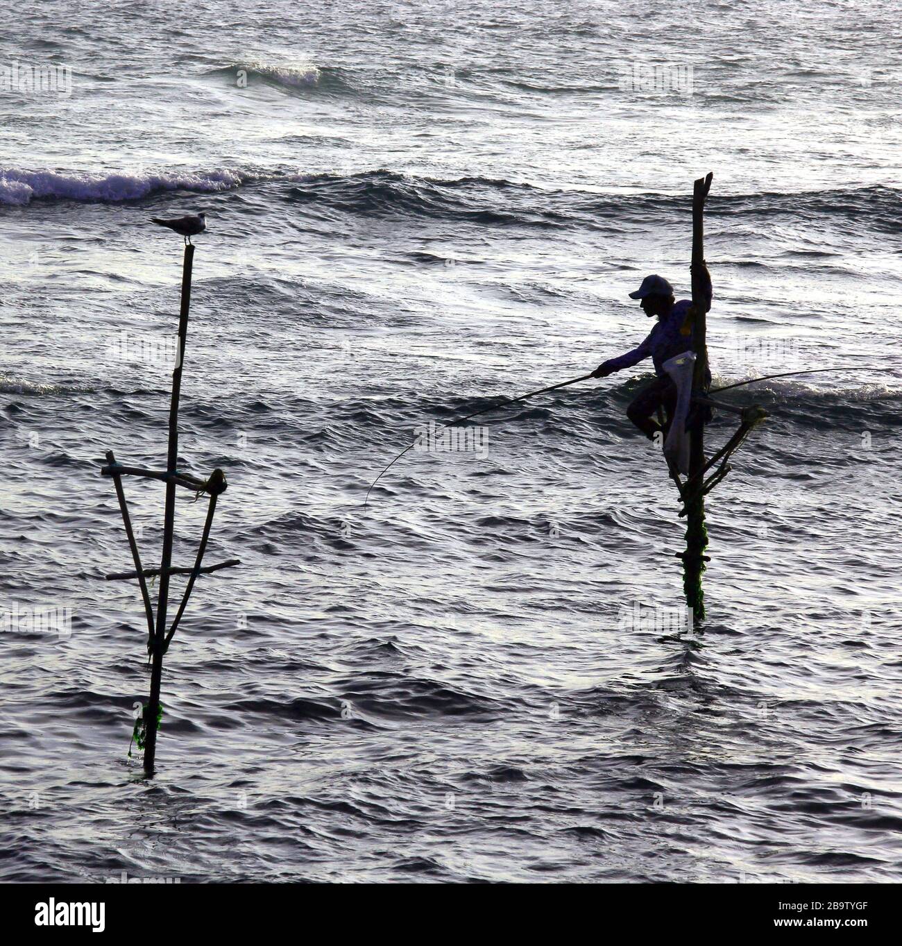Les pêcheurs sur échasses de Sri Lanka Banque D'Images