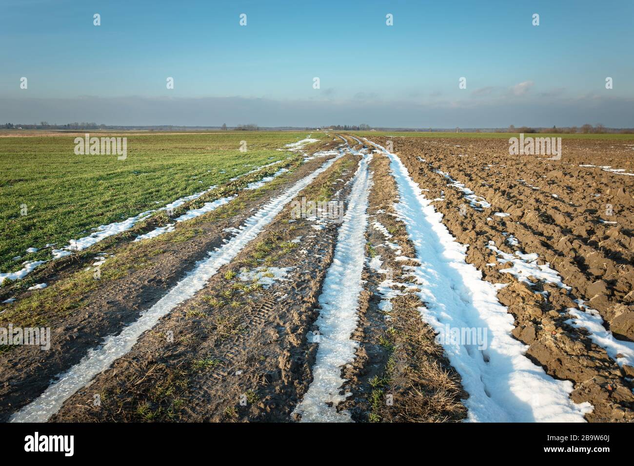 Dernière neige sur une route de terre à travers les champs, l'horizon et le ciel bleu Banque D'Images