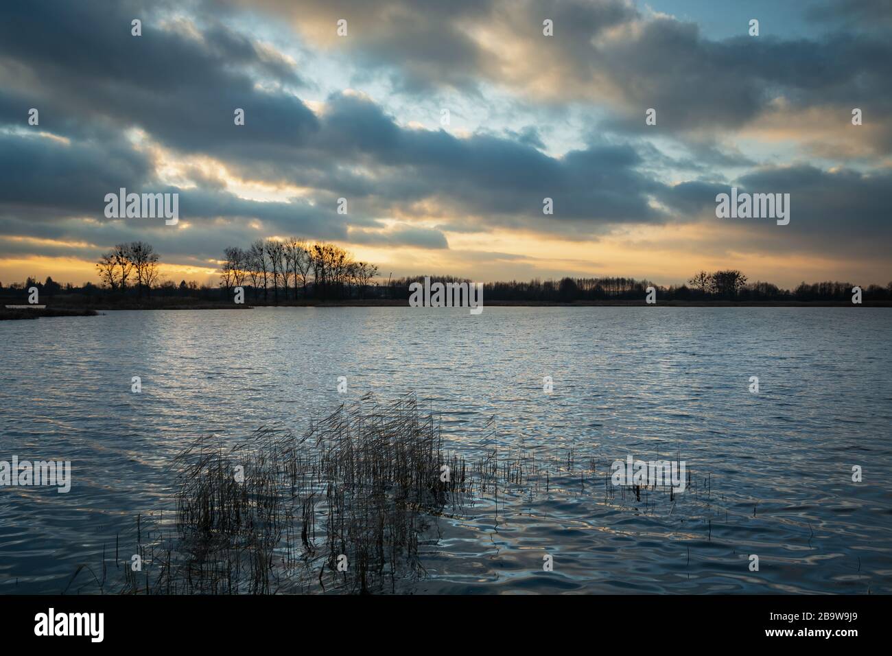 Roseau dans l'eau du lac, nuages sur le ciel bleu après le coucher du soleil, vue du soir Banque D'Images