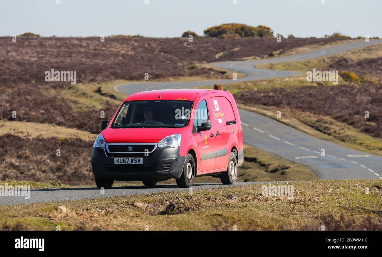 Royal Mail van traversant la Nouvelle forêt, Royaume-Uni Banque D'Images