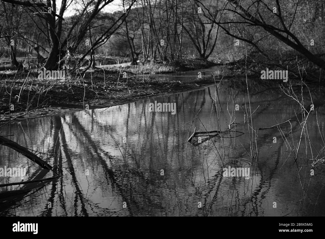 Réflexions à l'intérieur de l'eau Banque D'Images