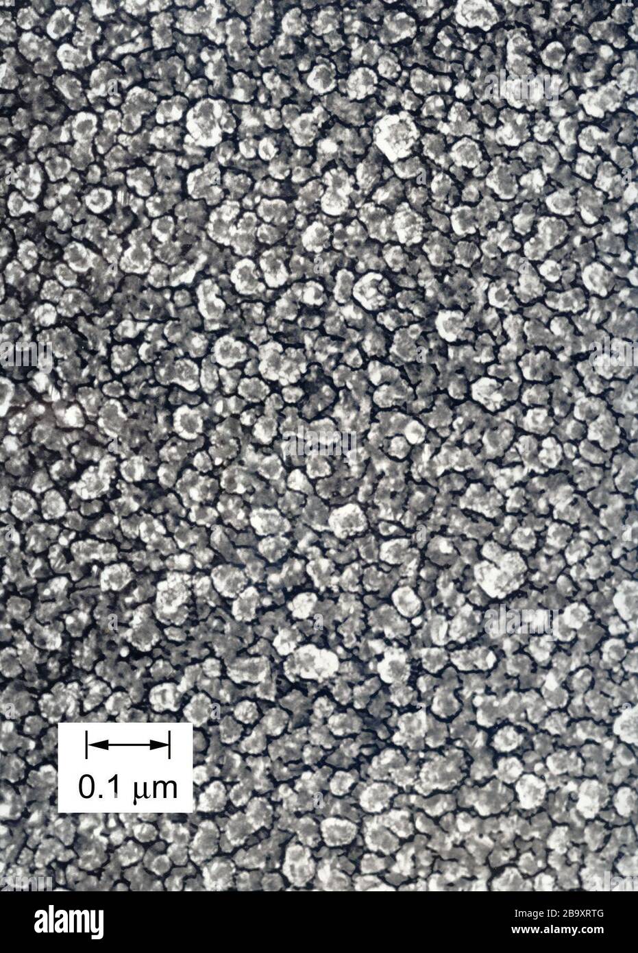 English: Balayage Electron Microscopy (SEM) image d'une réplique recouverte  au d'un revêtement de type diamant ta-C. Les éléments structuraux ne sont  pas des cristalloses, mais des nodules d'atomes de carbone greffés de