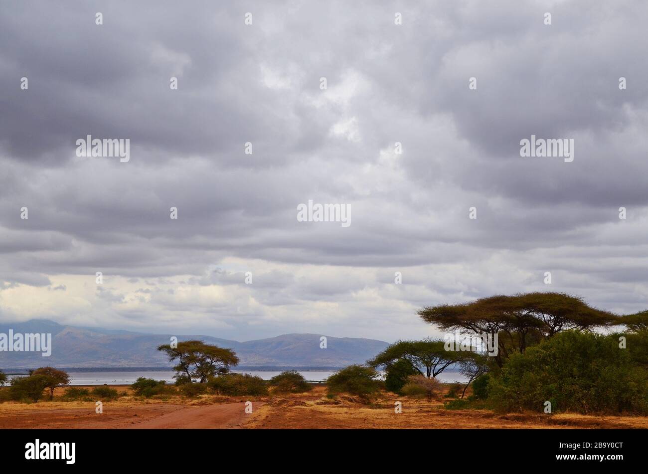 Paysage de savane tanzanienne au lac Manyara Banque D'Images