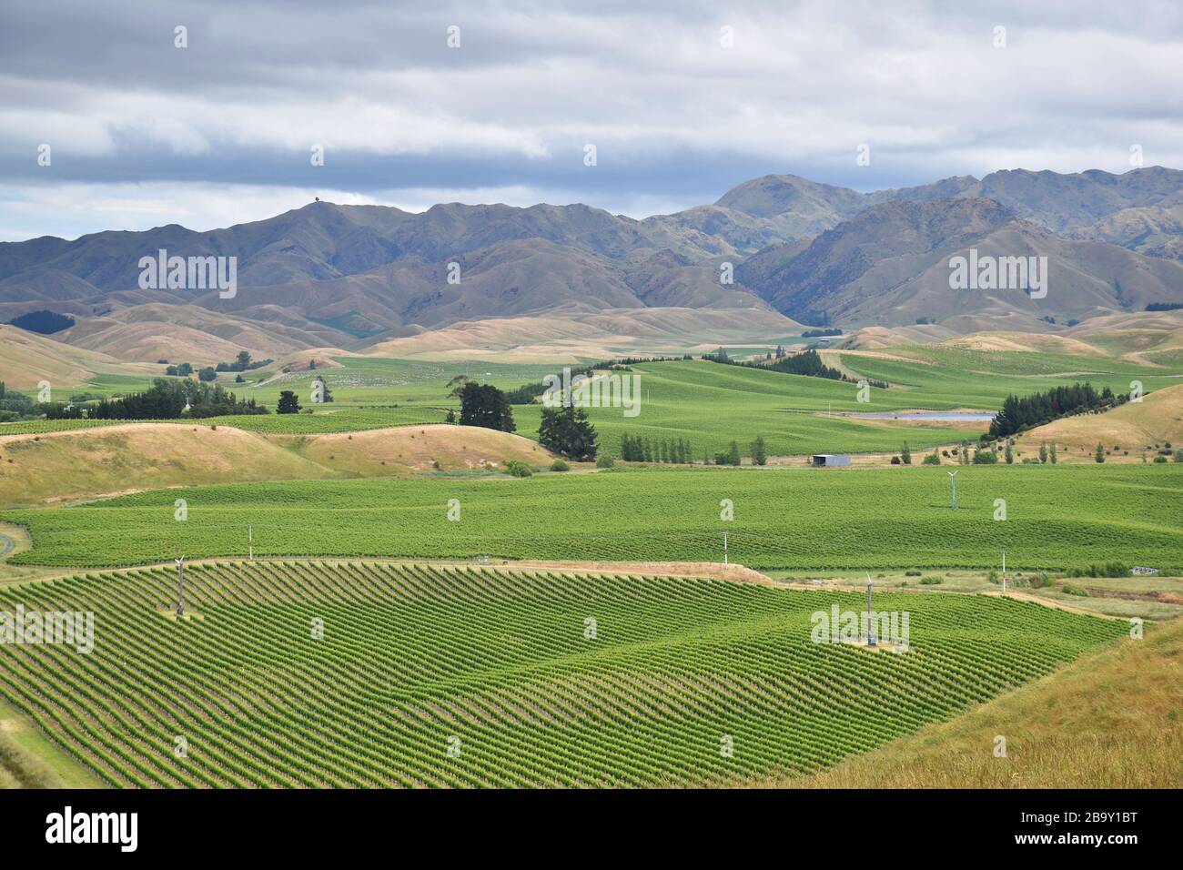 Vue aérienne Marlborough Winelands Nouvelle-Zélande Banque D'Images
