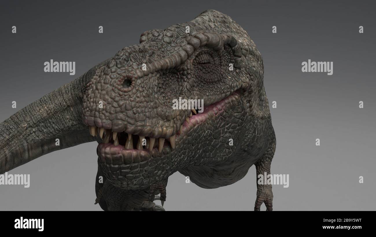 Rendu tridimensionnel du dinosaure , isolé sur fond blanc. Descendant de Tyrannosaure Rex -Zhuchentyrannus magnus Banque D'Images