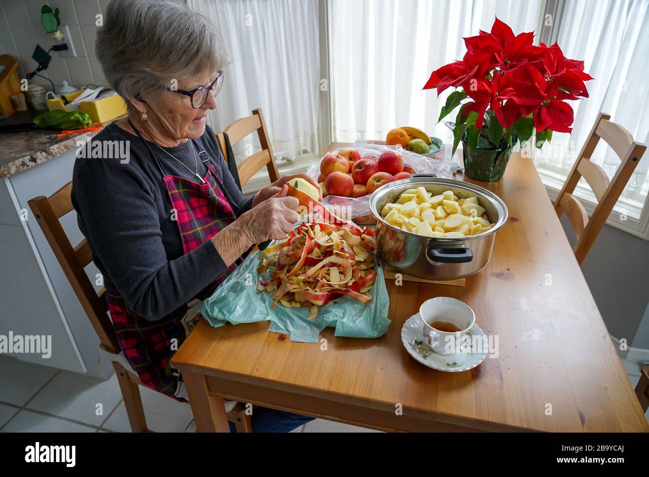 La Dame mûre fait de l'Applesauce dans sa cuisine en pelant les pommes et en les coupant dans une casserole.en Ontario, au Canada, en Amérique du Nord Banque D'Images