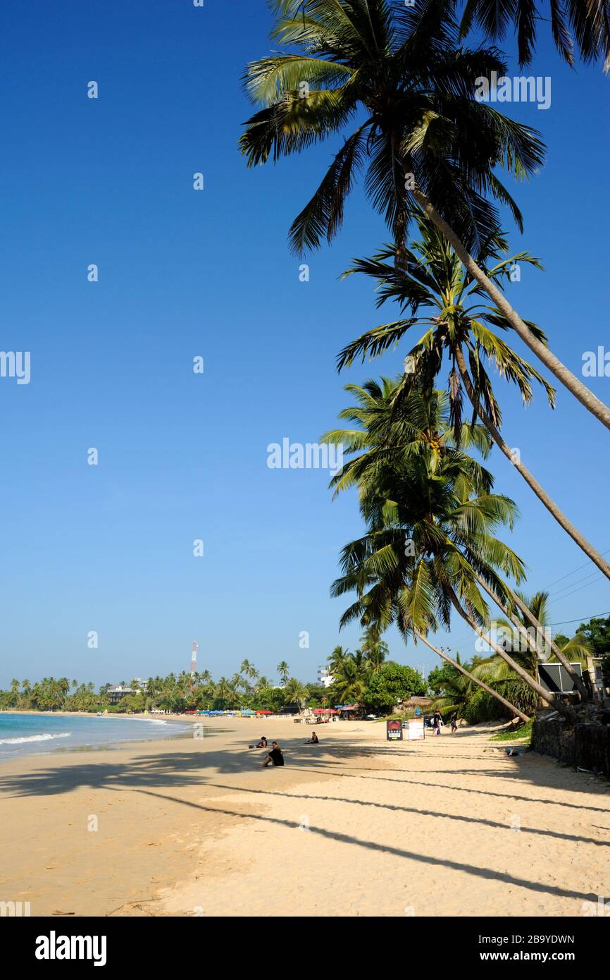 Sri Lanka, Mirissa beach Banque D'Images