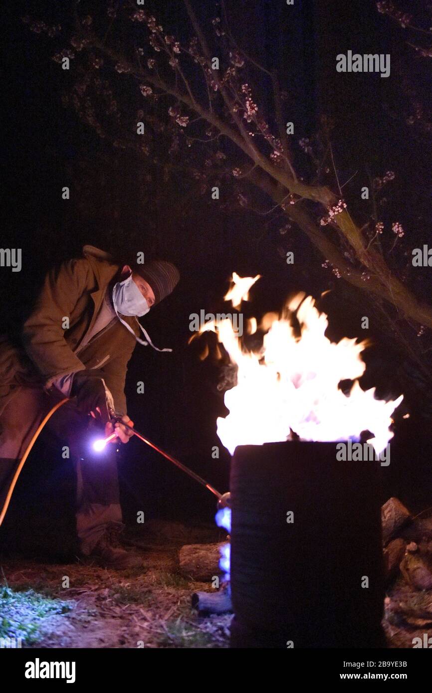 VELKE Pavlovice, République tchèque. 25 mars 2020. Le propriétaire d'une société Jan Krejcirik enflamme les arbres fruitiers contre le gel dans le verger de la société 'Merunky Velke Pavlovice', le 25 mars 2020, à Velke Pavlovice, Breclav, République tchèque. Crédit: Vaclav Salek/CTK photo/Alay Live News Banque D'Images