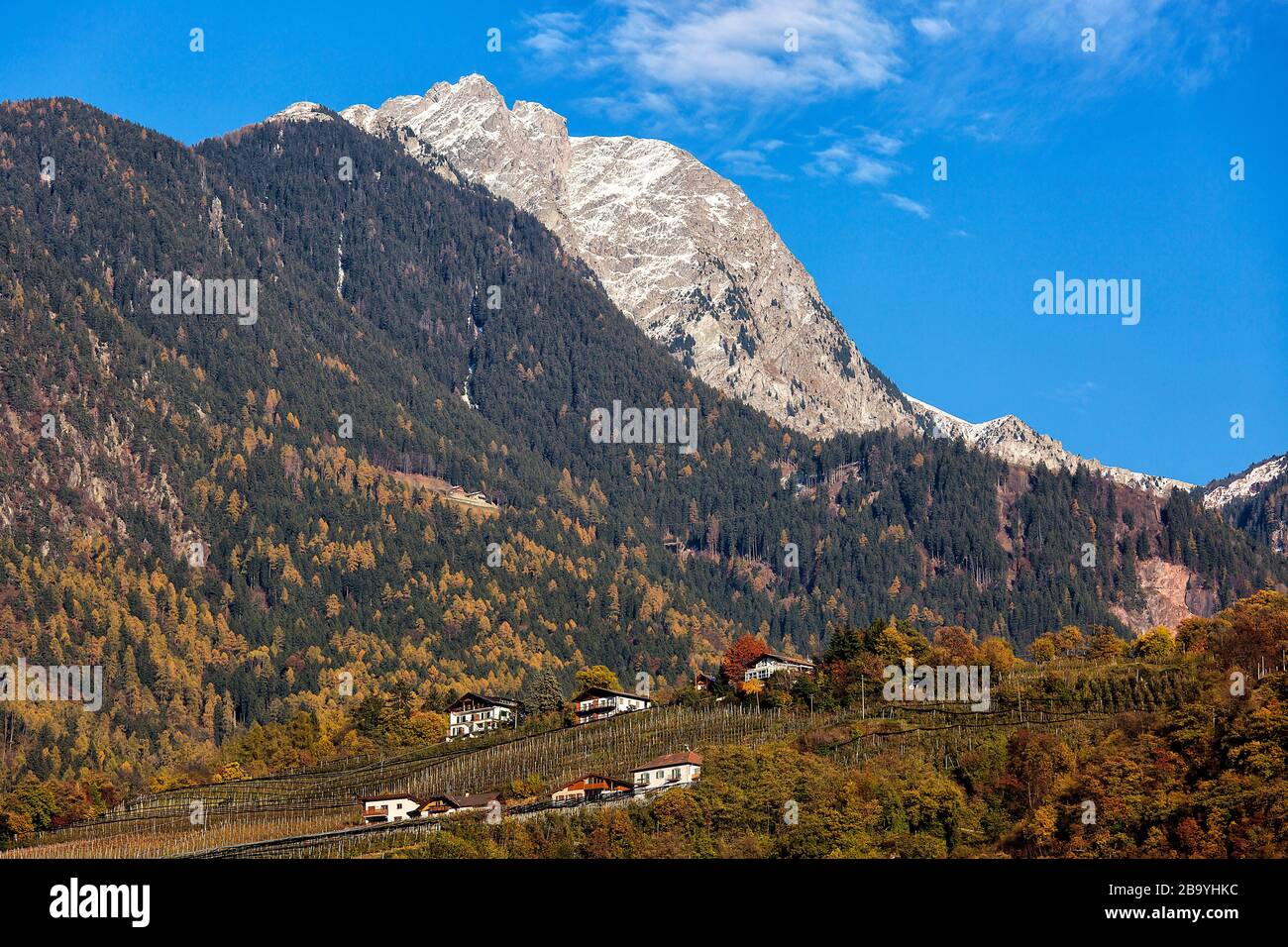 Merano gruppo Tessa,Merano,Trentin-Haut-adige,Italie. Banque D'Images