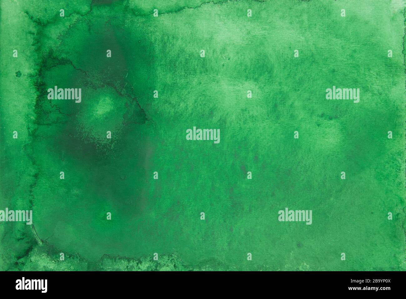 fond peint en aquarelle de couleur verte Banque D'Images