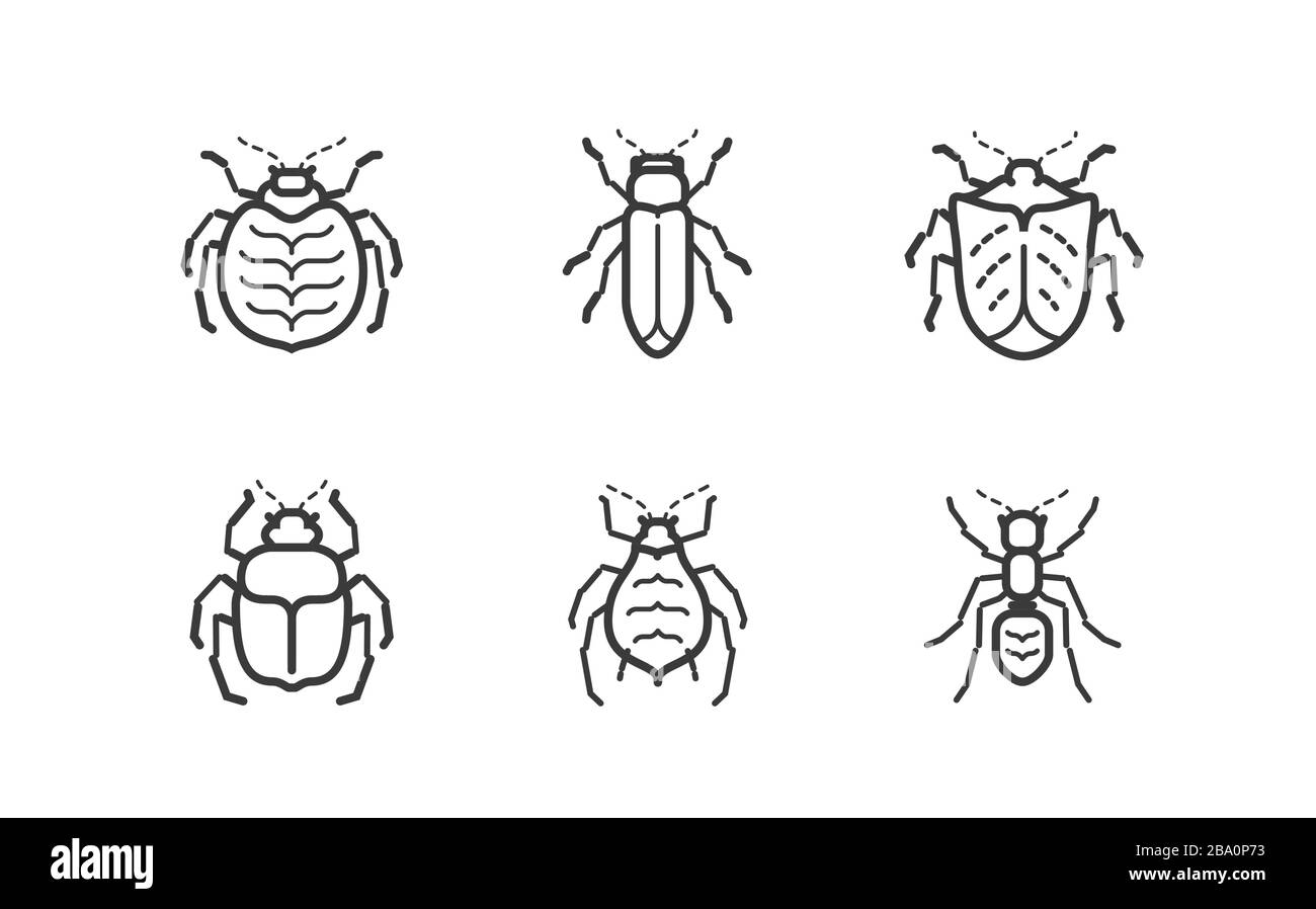 Jeu d'icônes insectes. Illustration vectorielle animaux isolée sur fond blanc Illustration de Vecteur