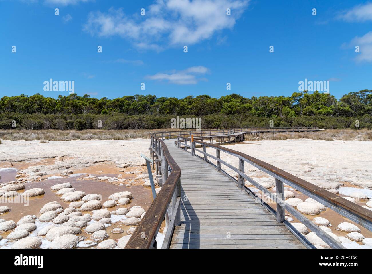 Thrombolites au lac Clifton, parc national de Yalgorup, Australie occidentale, Australie Banque D'Images