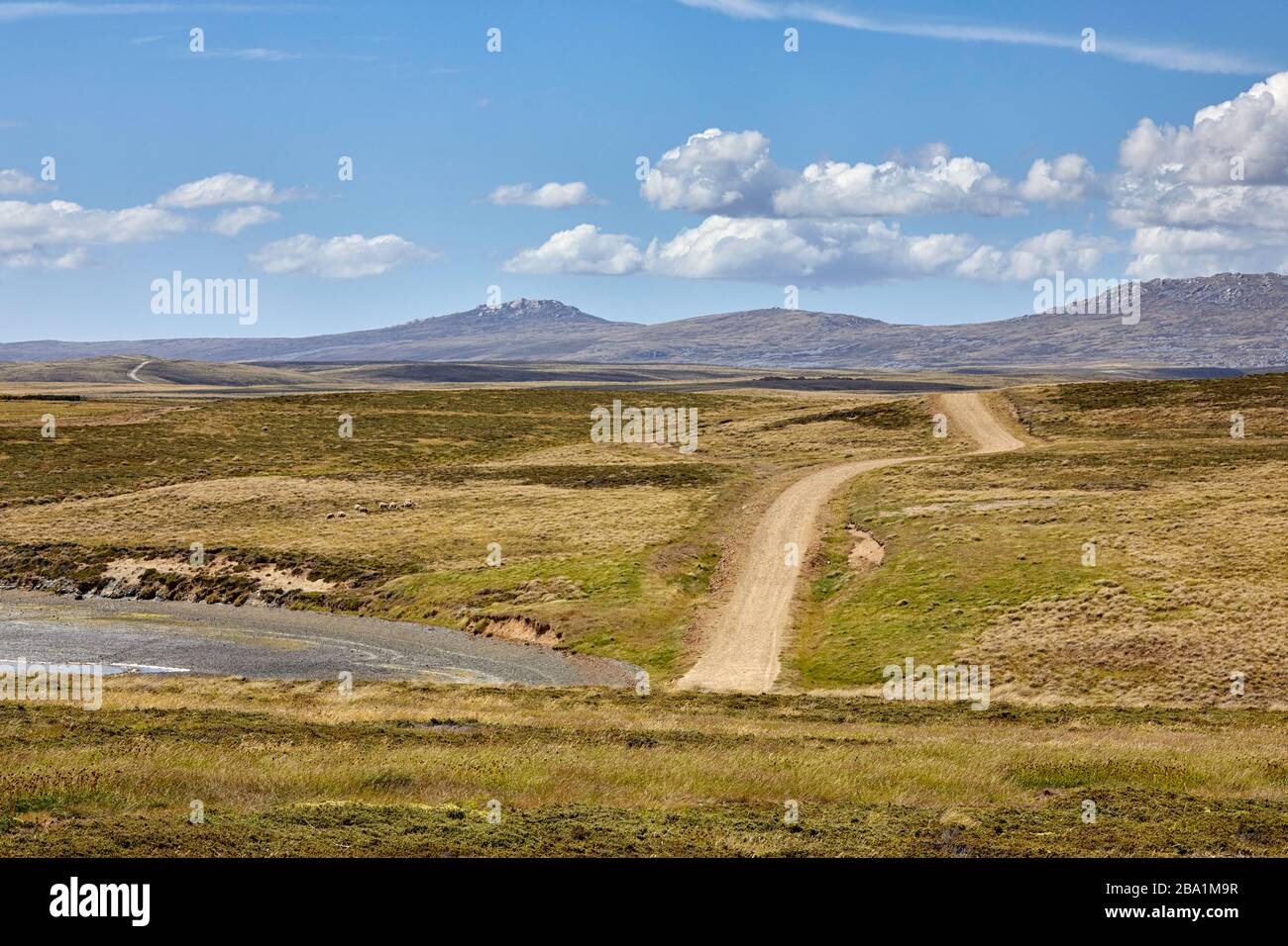 Mont Usborne, route Darwin, Malouines de l'est, îles Falkland, Malouines Banque D'Images