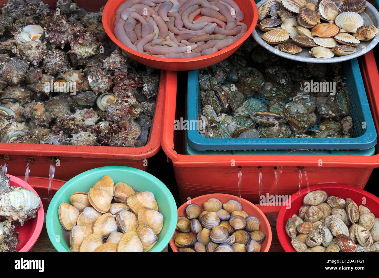 Le marché aux poissons, le quartier de Nampo, Busan, Corée du Sud, Asie Banque D'Images