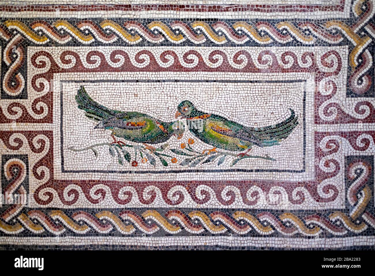 Rome. Italie. Mosaïques romaines avec motifs naturels, Palazzo Massimo alle terme, Museo Nazionale Romano Banque D'Images