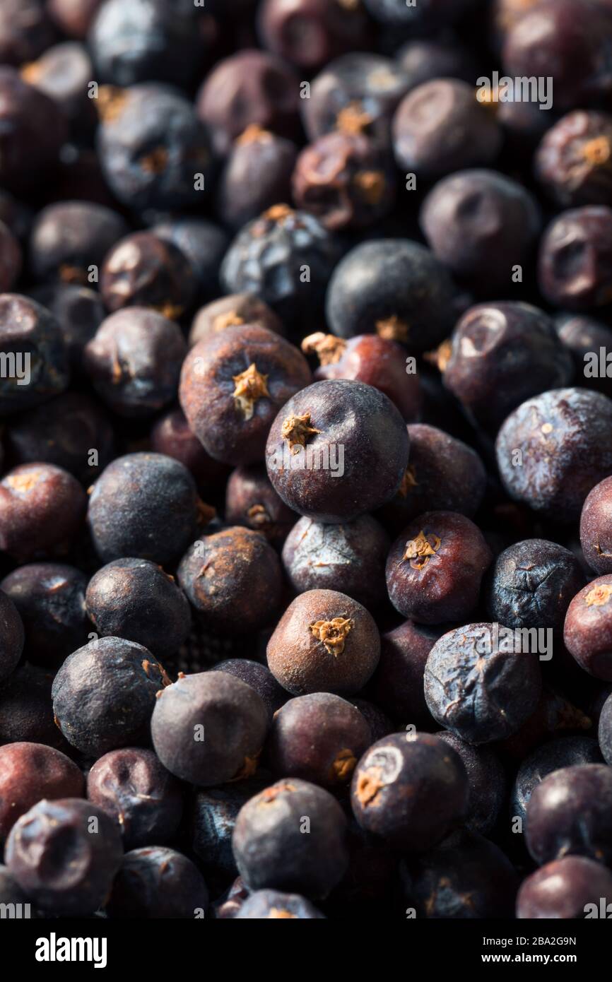 Berries organiques violettes brutes Juniper dans un bol Banque D'Images