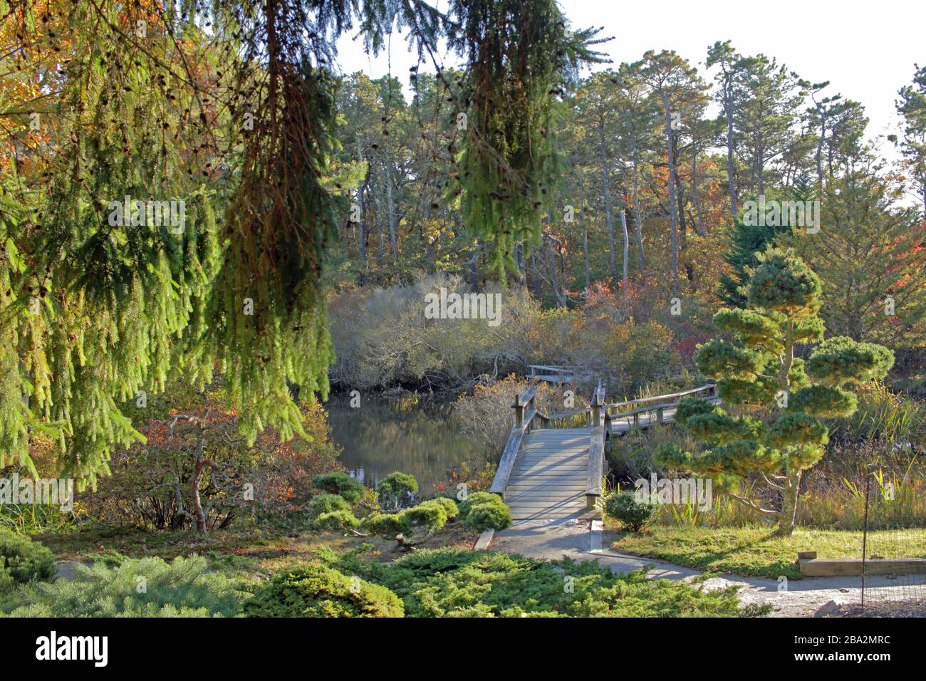 Mytois jardins de style japonais, Chappaquiddick, Martha’s Vineyard, Massachusetts, États-Unis Banque D'Images