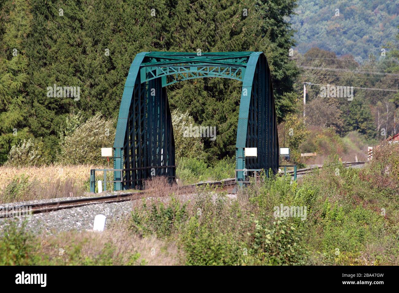 Construction de ponts de chemin de fer en métal vert foncé s'élevant au-dessus des voies ferrées et des fondations de gravier entourées d'une végétation forestière dense et d'arbres Banque D'Images