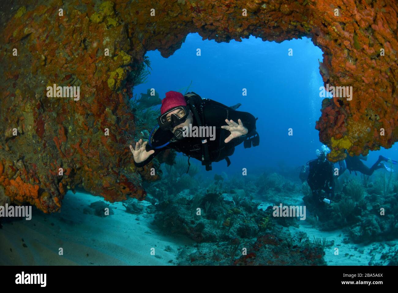 Plongée sous-marine à Sint Maarten / Saint Martin avec Ocean Explorers Centre de plongée ( Journal de la semaine de l'explorateur - semaine 01, 2017 ) www.divesxm.com Banque D'Images