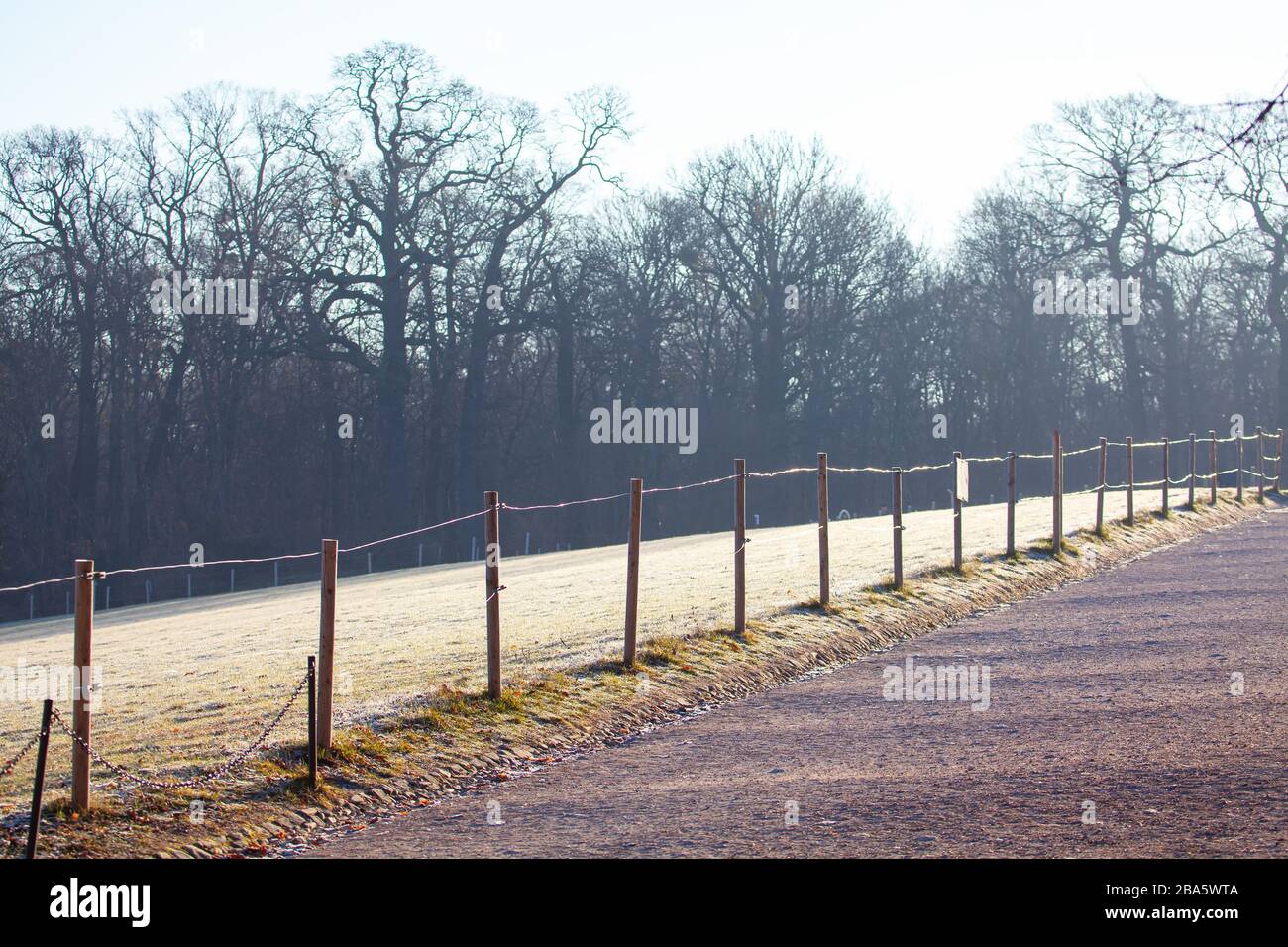 clôture dans le parc d'hiver , herbe couverte de rime Banque D'Images