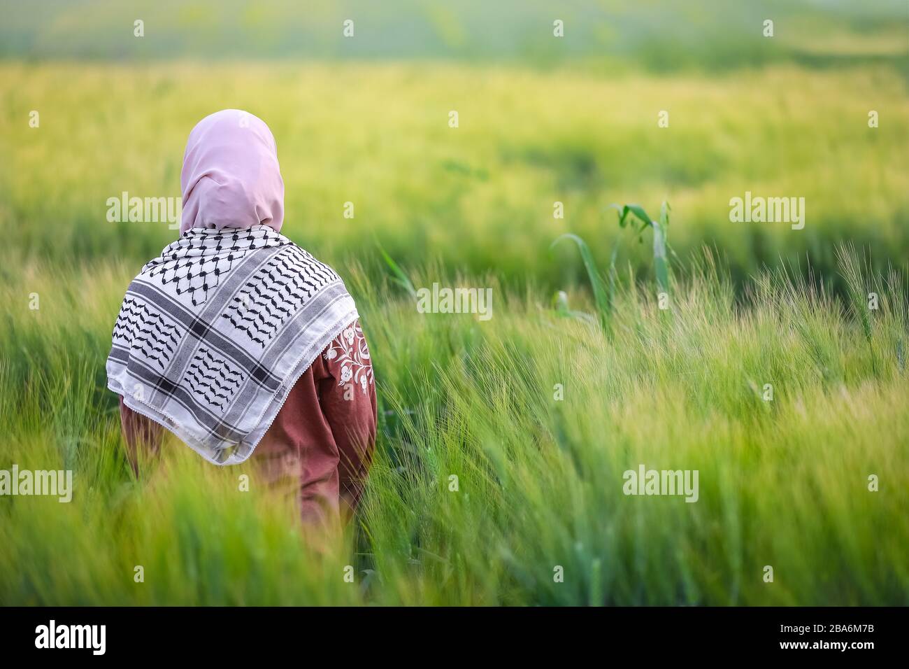 Une fille palestinienne paysanne se tenant au milieu de plantes vertes fraîches de blé à la ferme portant un foulard traditionnel Kufiya de Palestine Banque D'Images