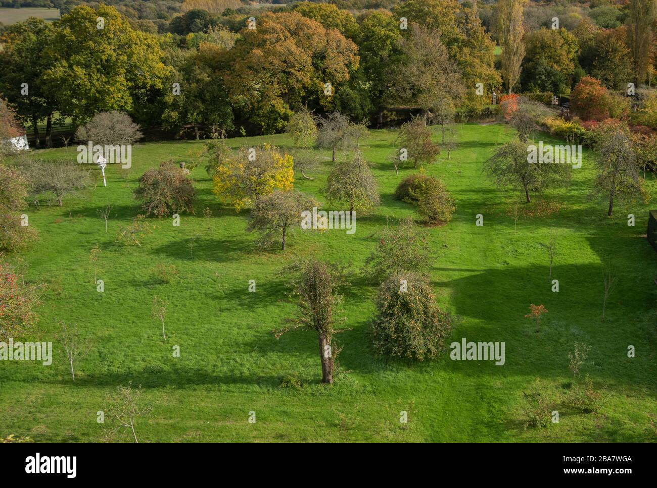 Vue sur le verger au jardin du château de Sissinghurst, à Sissinghurst, Weald, Kent, en automne. Banque D'Images