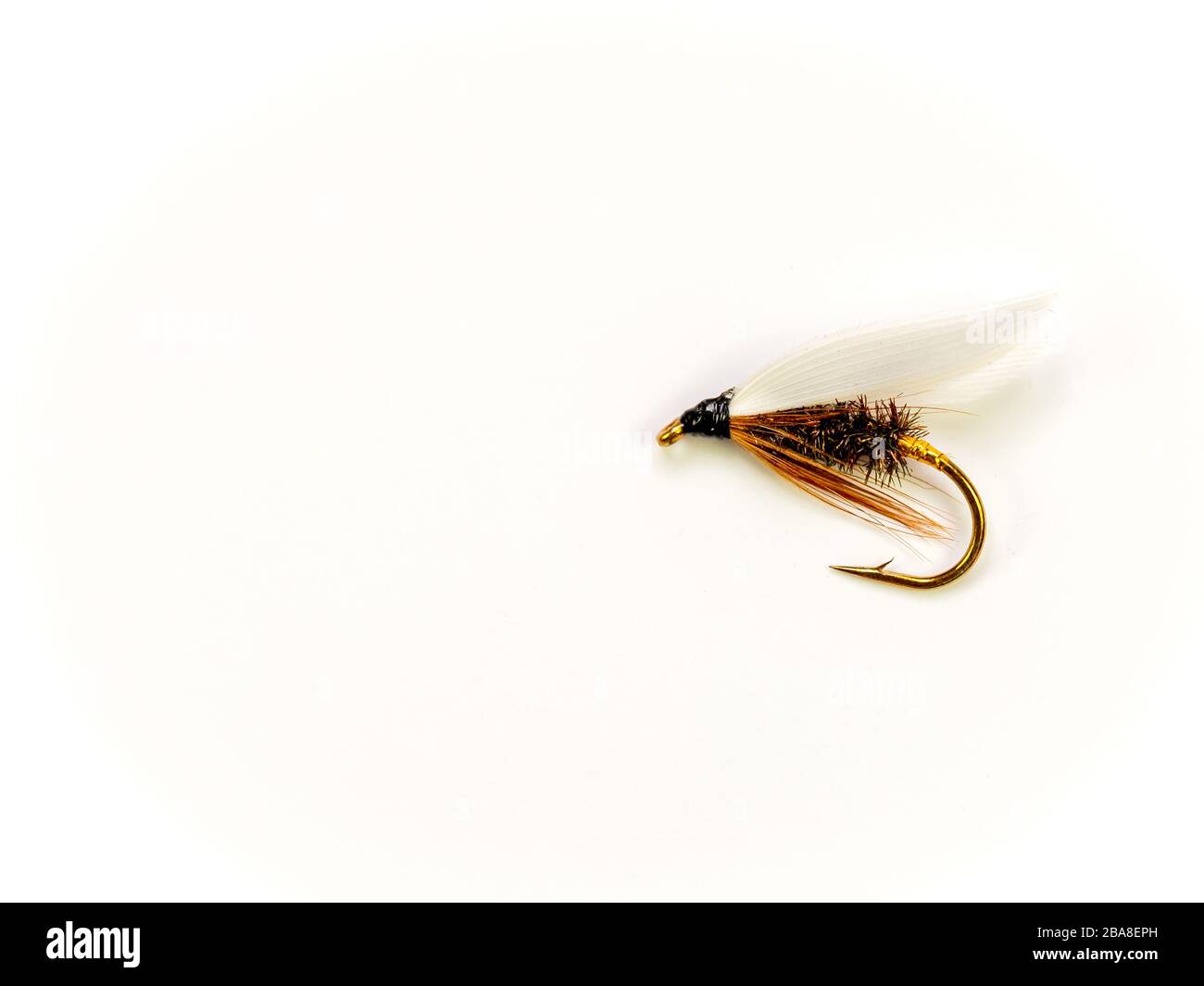 La mouche traditionnelle humide pour la truite, le coachman Banque D'Images