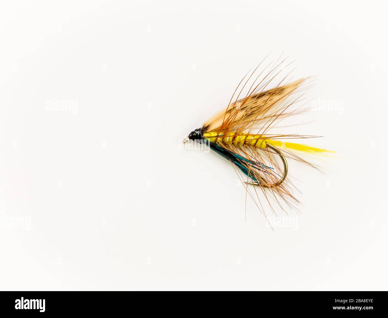Mouche de pêche traditionnelle à la mouche humide pour la truite, Invicta Banque D'Images