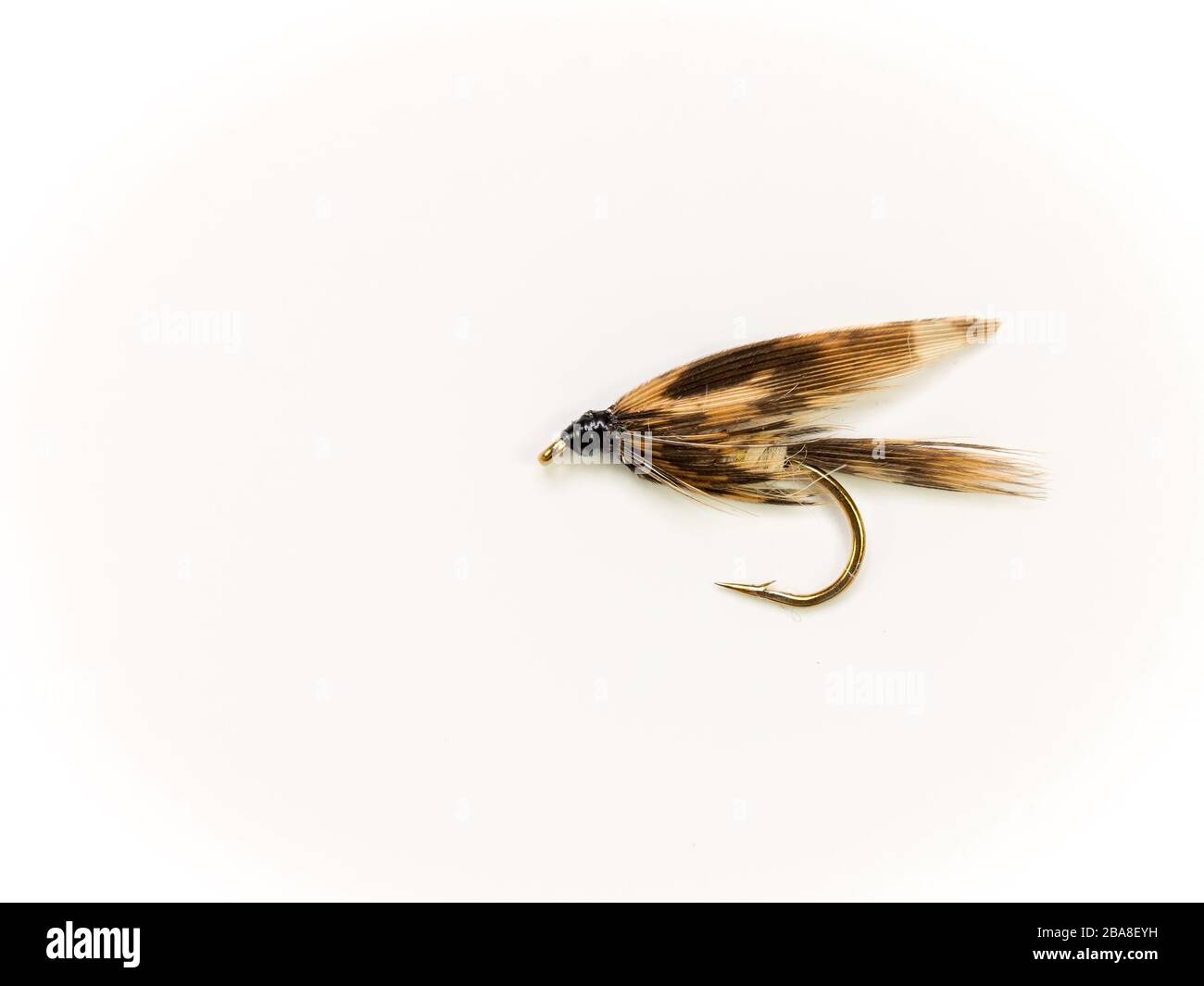 Mouche de pêche traditionnelle à la mouche humide pour la truite, Mars Brown Banque D'Images