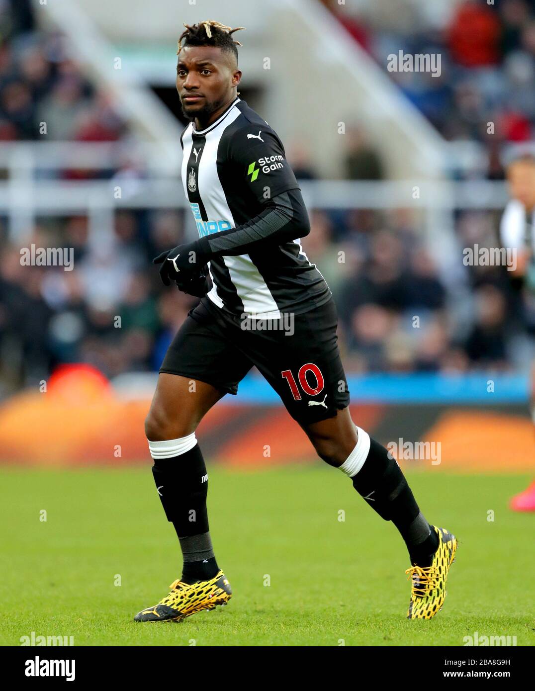 Allan Saint-Maximin de Newcastle United en action Photo Stock - Alamy