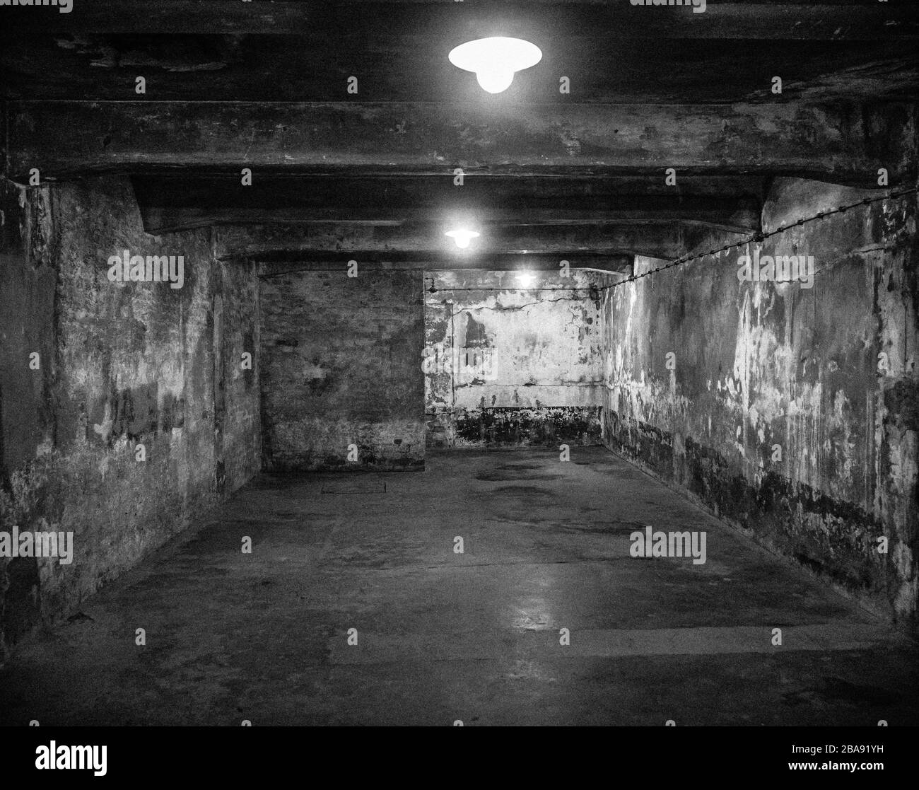 photo chambre à gaz auschwitz