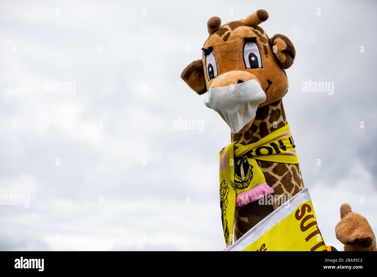 Sutton United mascotte 'Jenny the Giraffe' portant un masque avant le match Banque D'Images