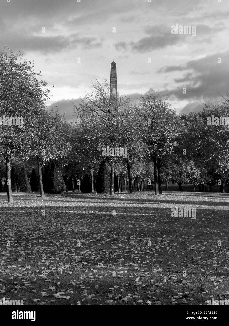 Glasgow, Écosse, Royaume-Uni. 19 octobre 2019: Une photo en noir et blanc de Glasgow Green en automne. Monument de Nelson en arrière-plan. Banque D'Images