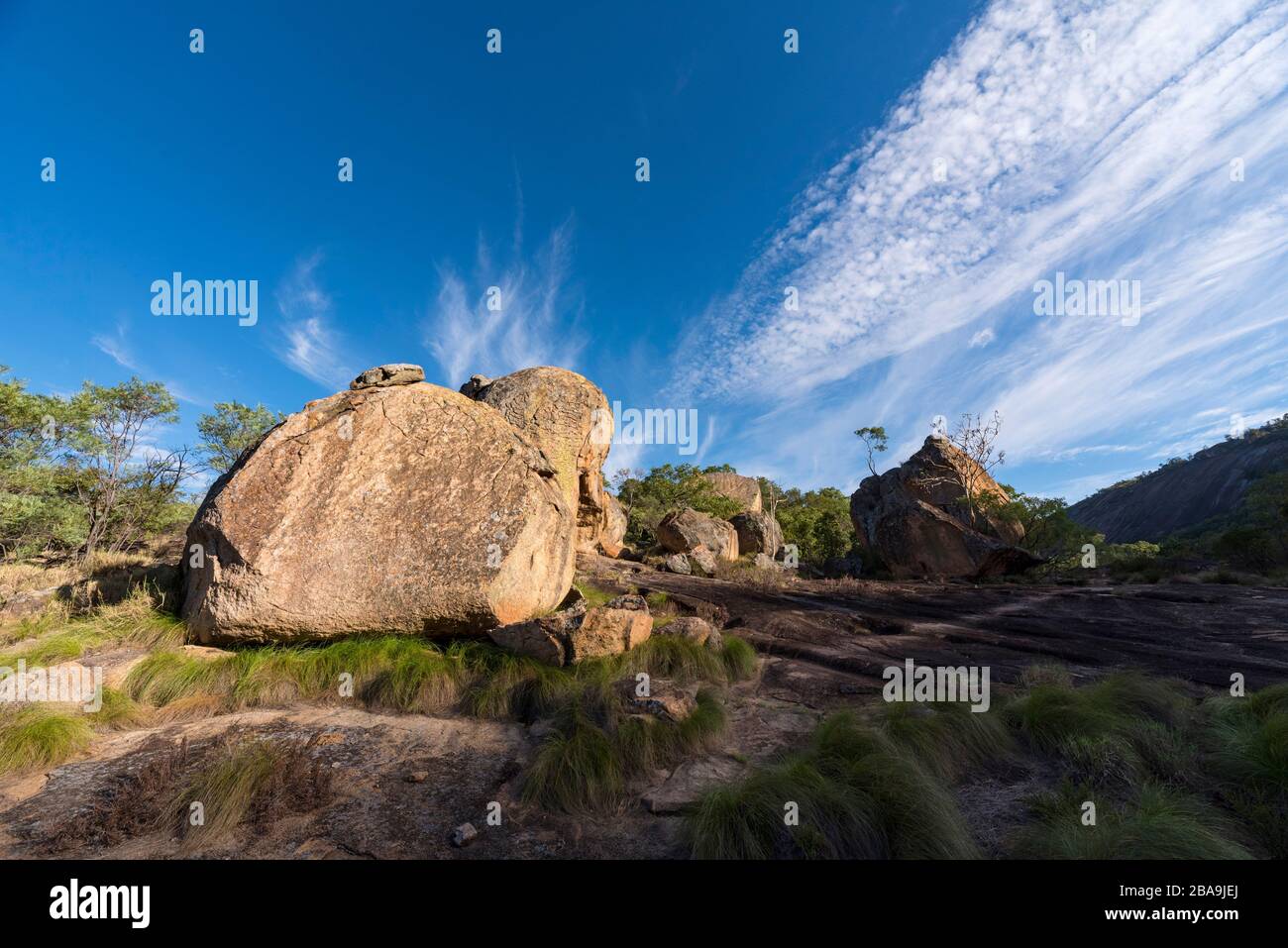 Le paysage unique en granit des collines de Matobo dans le parc national de Matobo au Zimbabwe. Banque D'Images