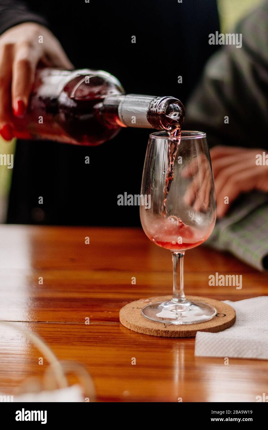 Dégustation de vins dans le vignoble portugais Banque D'Images