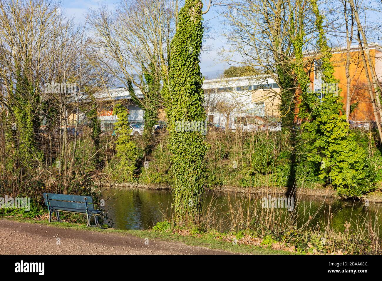 Un banc sur le côté du canal militaire royal, Hythe, Kent, Sainsbury Store de l'autre côté partiellement caché par les arbres, Royaume-Uni Banque D'Images