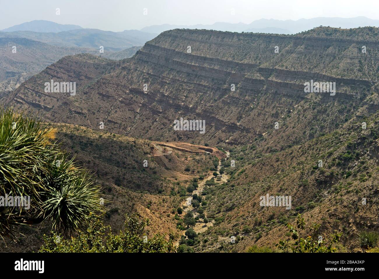 Vallée sèche dans les Highlands éthiopiens, Tigray, Ethiopie Banque D'Images