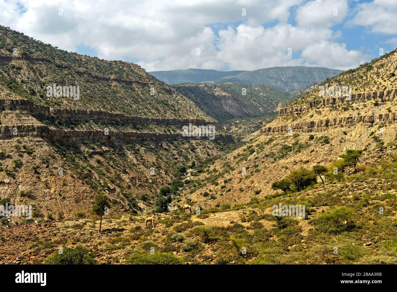 Vallée sèche dans les Highlands éthiopiens, Tigray, Ethiopie Banque D'Images