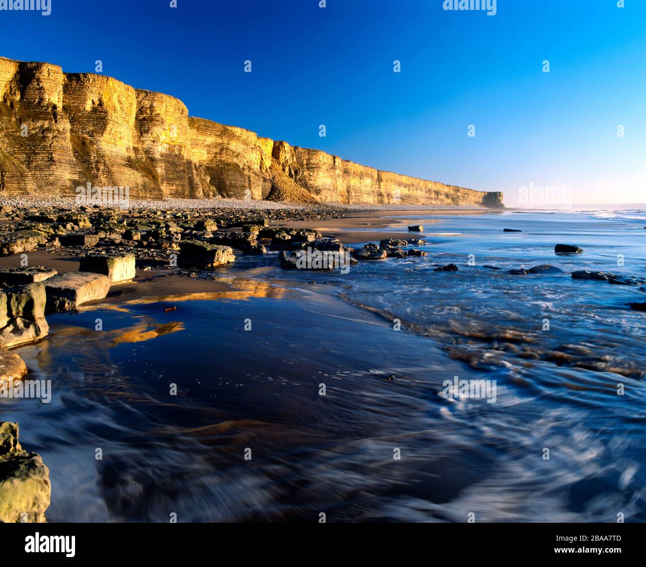 Lias Limestone Cliffs, Traeth Mawr, Glamourgan Heritage Coast, Vale of Glamourgan, pays de Galles du Sud, Royaume-Uni. Banque D'Images