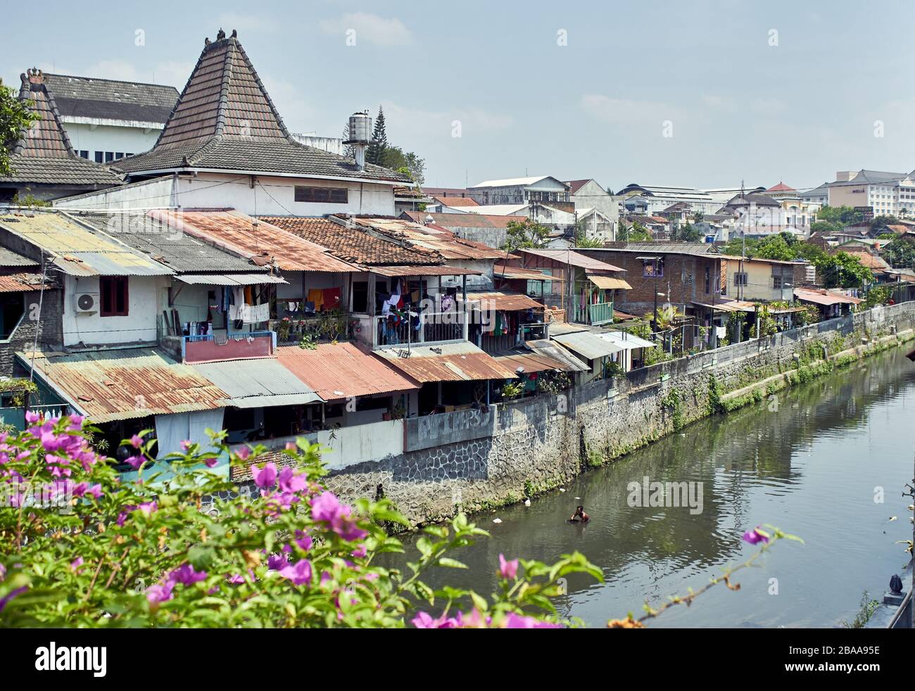 Vue sur la rivière Yogyakarta avec fleurs Banque D'Images
