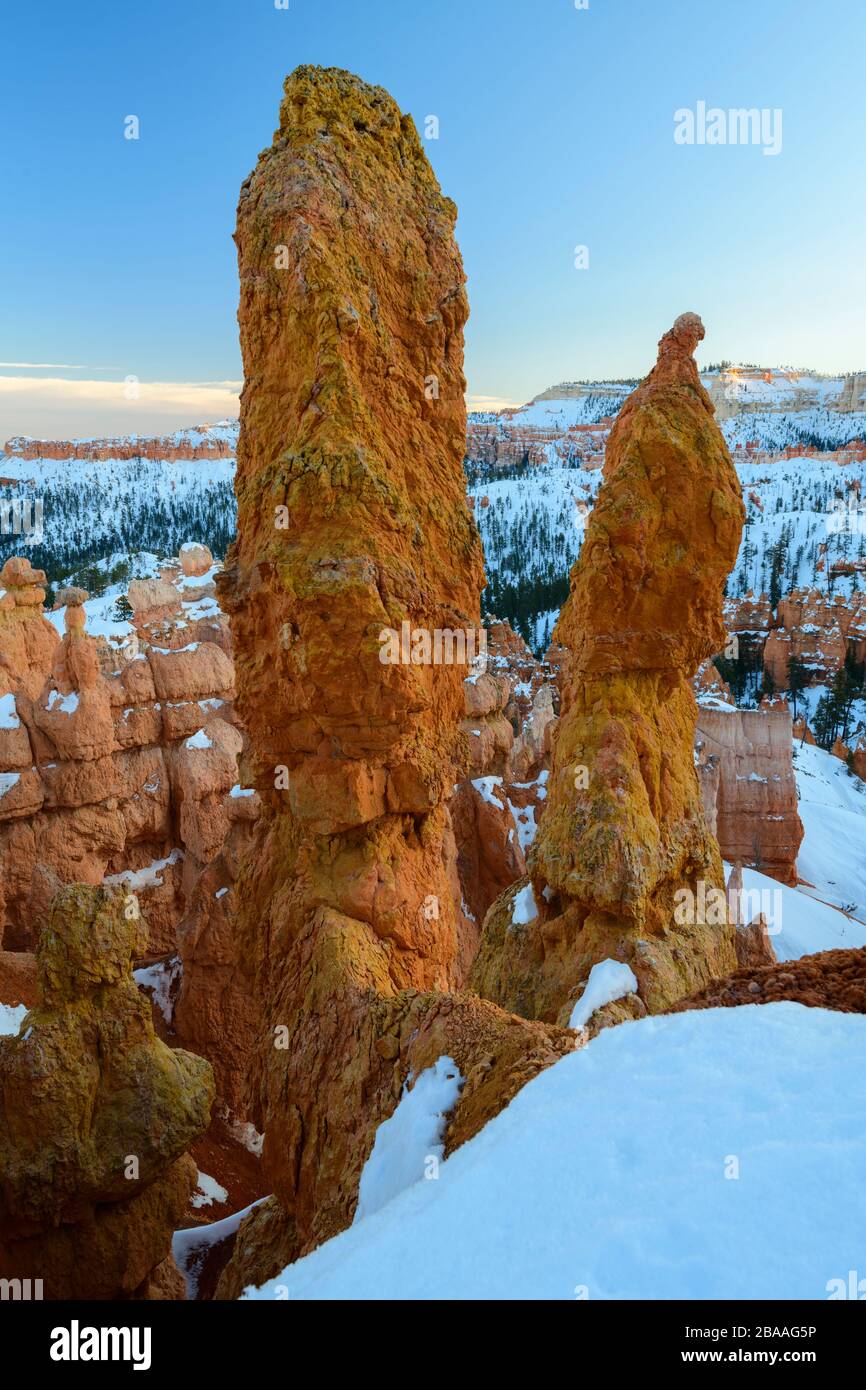 États-Unis, Sud-Ouest, Plateau Du Colorado, Utah, Bryce Canyon, Parc National Banque D'Images