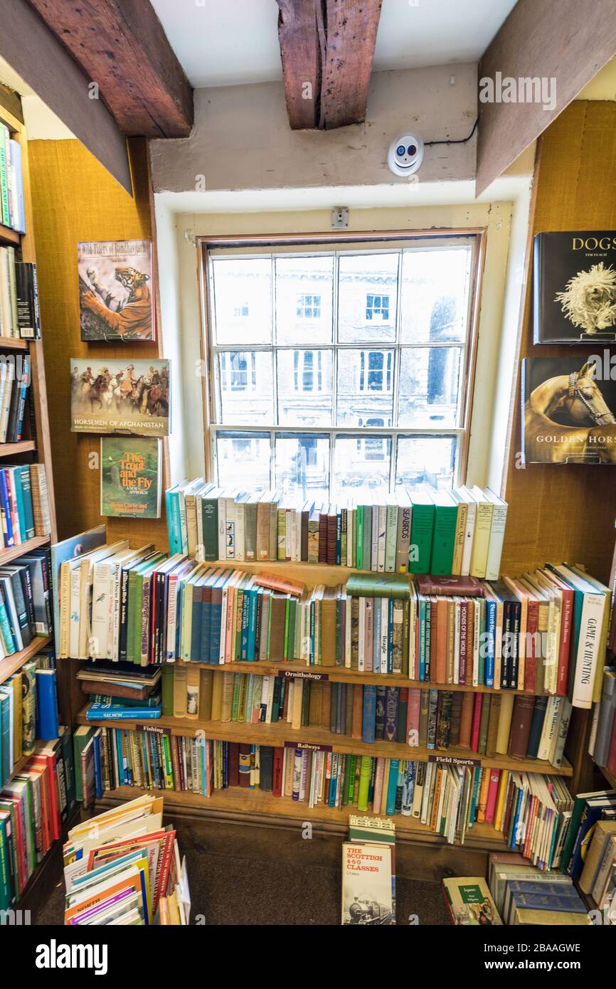 Livres en vente dans la librairie secondaire, Norwich, Norfolk, Angleterre, Royaume-Uni Banque D'Images