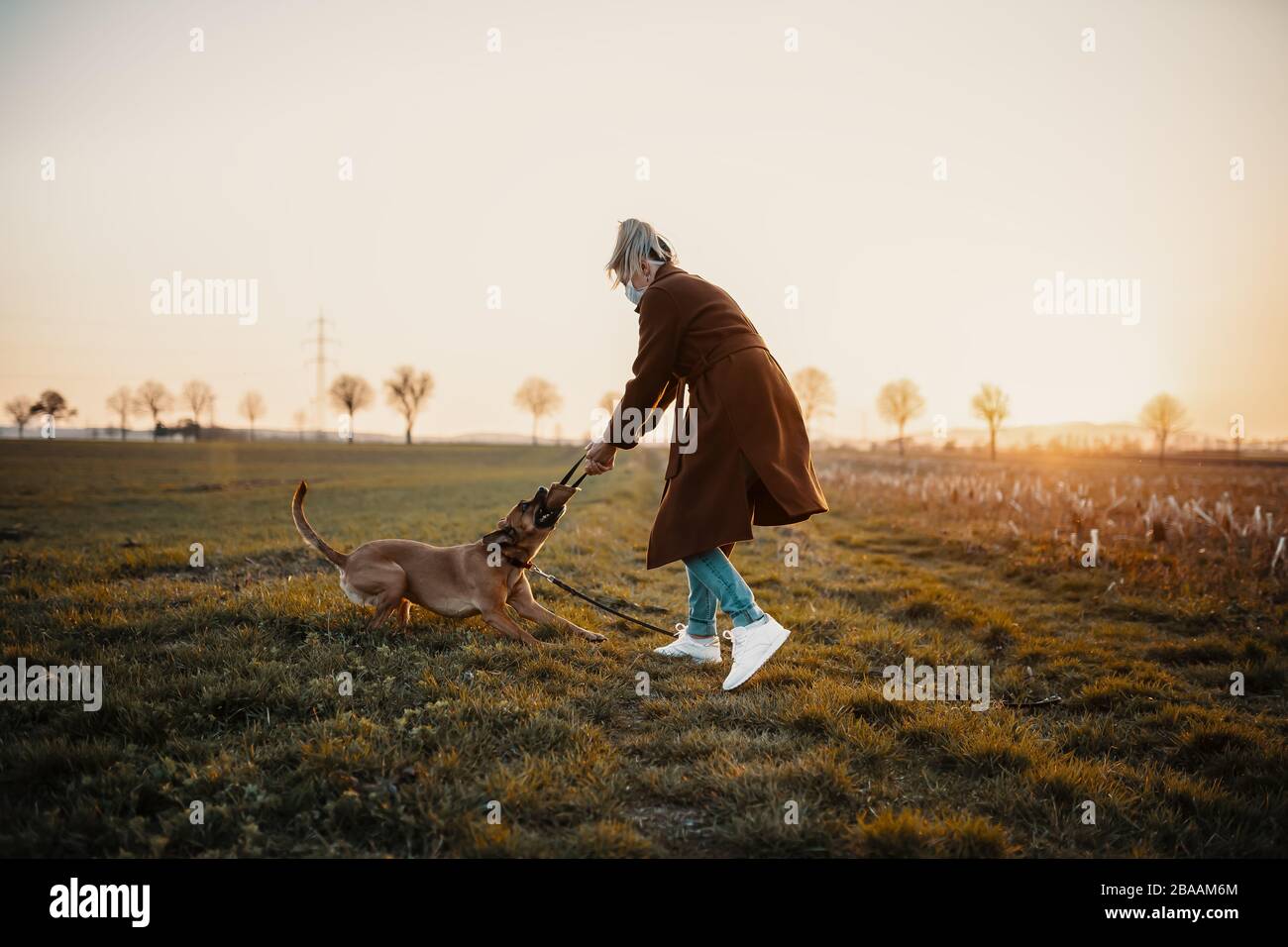 Une femme portant un masque de protection marche seule avec un chien à l'extérieur en raison de la pandémie de virus corona covid-19 Banque D'Images